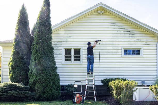 Boat and Dock Cleaning in Stony Point, MI
